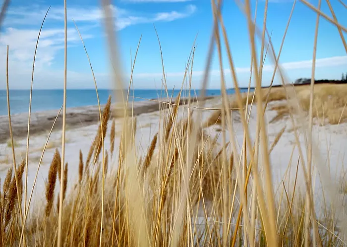 公寓 Am Kranichland