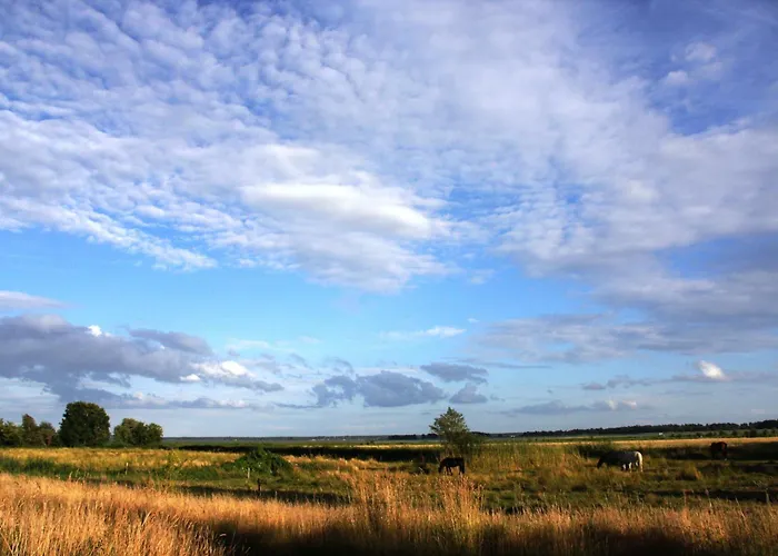 Am Kranichland 公寓 *