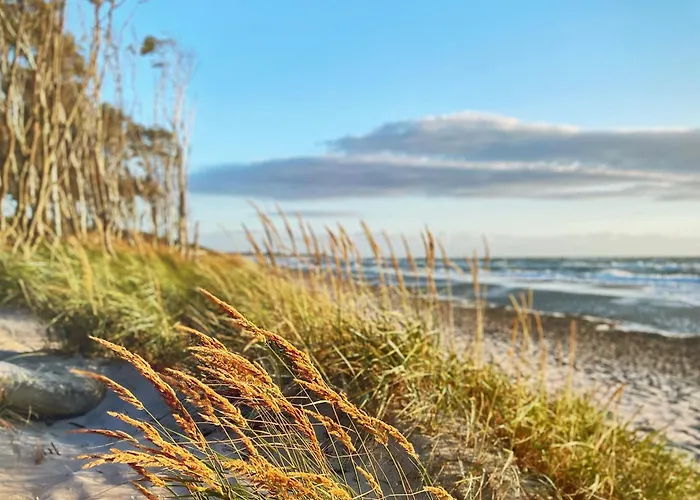 公寓 Am Kranichland 维克